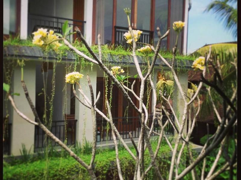 Nani House 2 Guest house