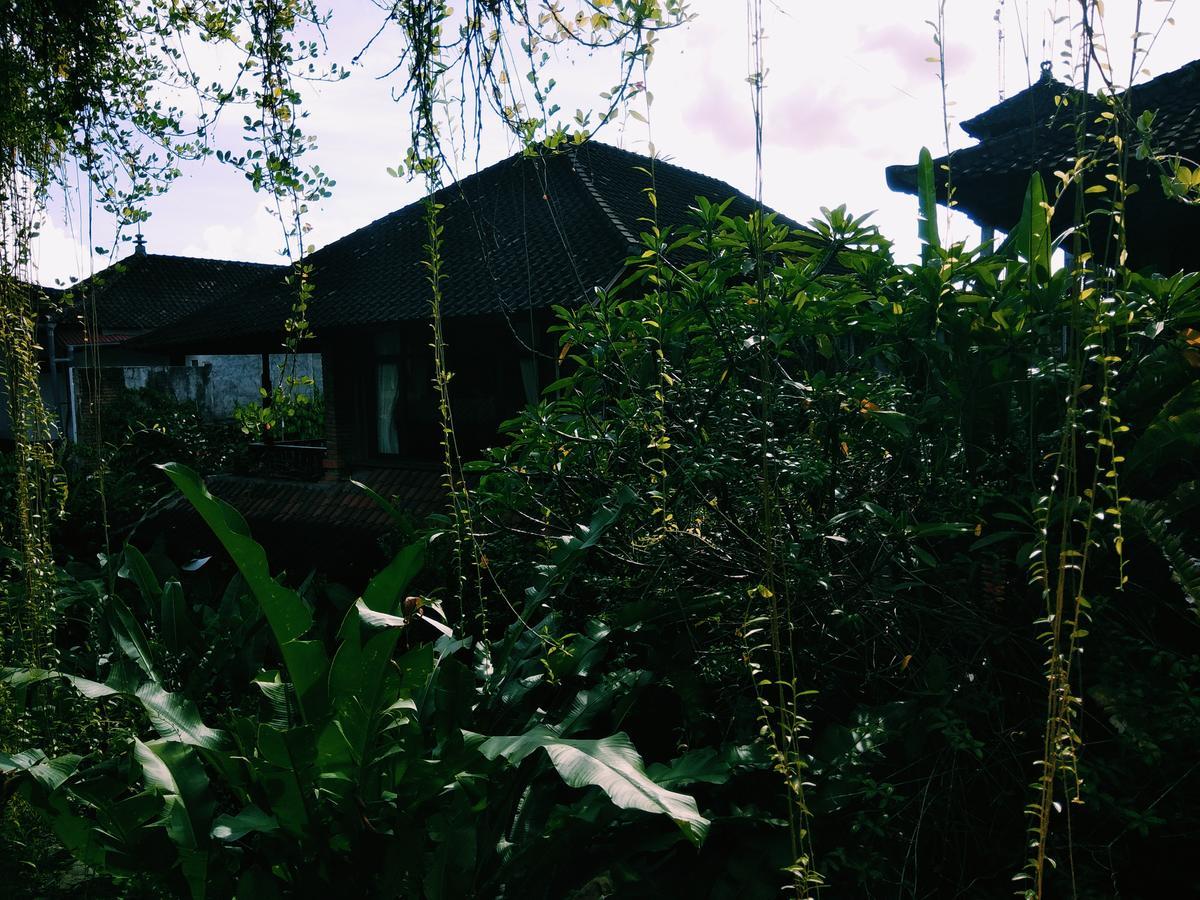 Nani House 2 Guest house 2*