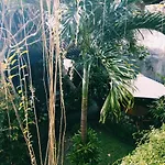 Nani House 2