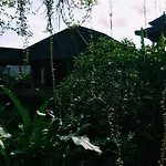 Nani House 2