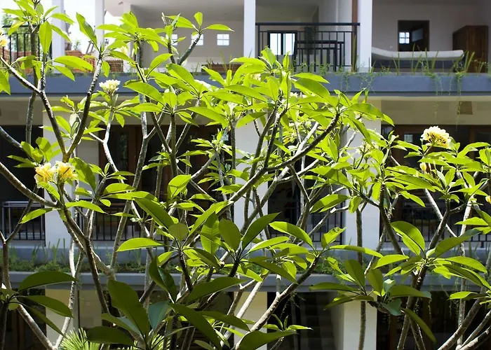 Nani House 2