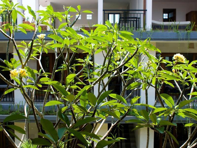 Nani House 2 2* Ubud