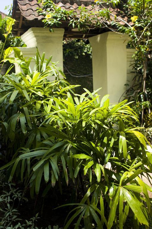 Nani House 2 2*
