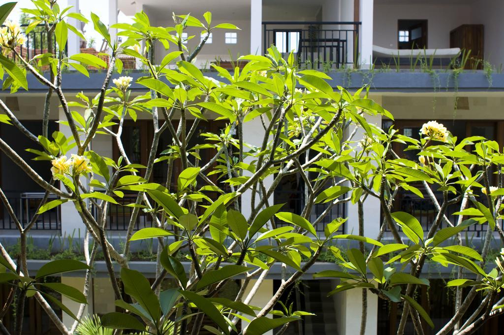 Gasthof Nani House 2